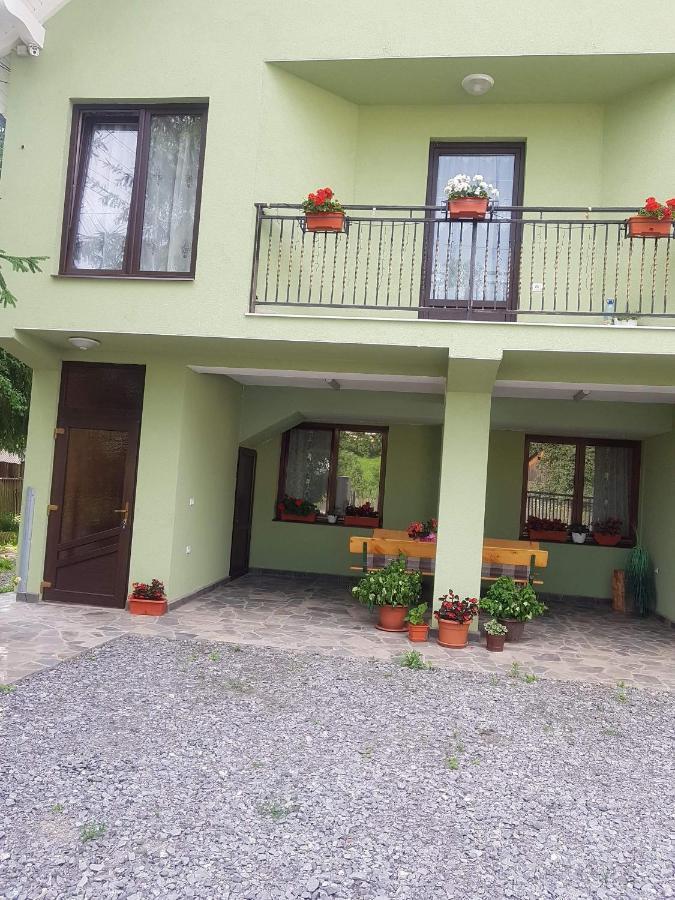 Hotel Casa Alma Borşa Exterior foto