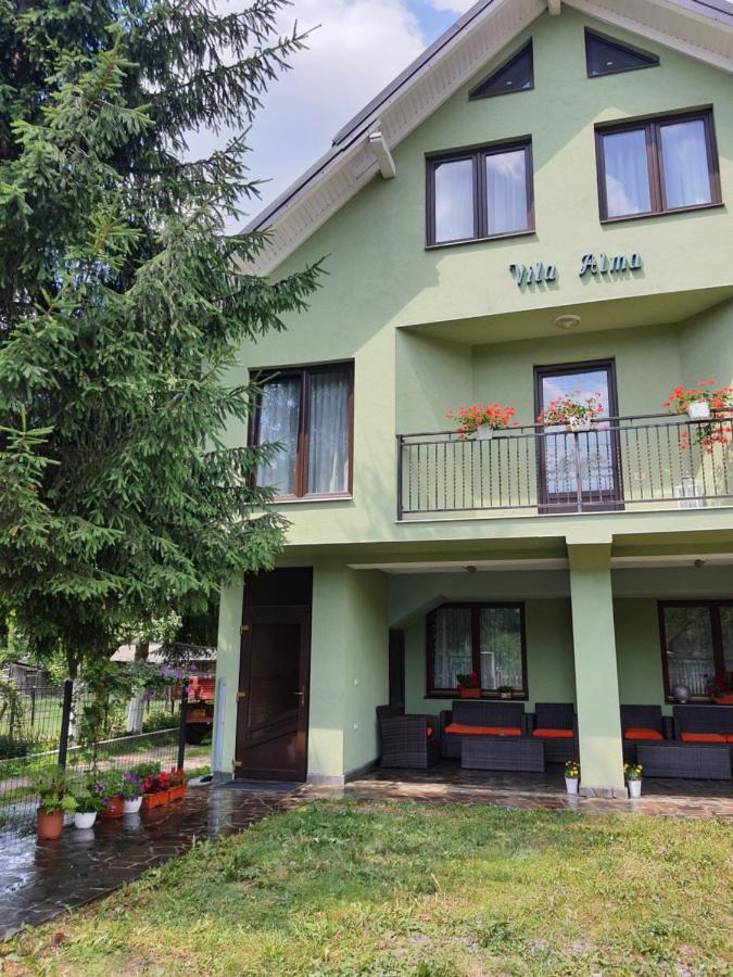 Hotel Casa Alma Borşa Exterior foto